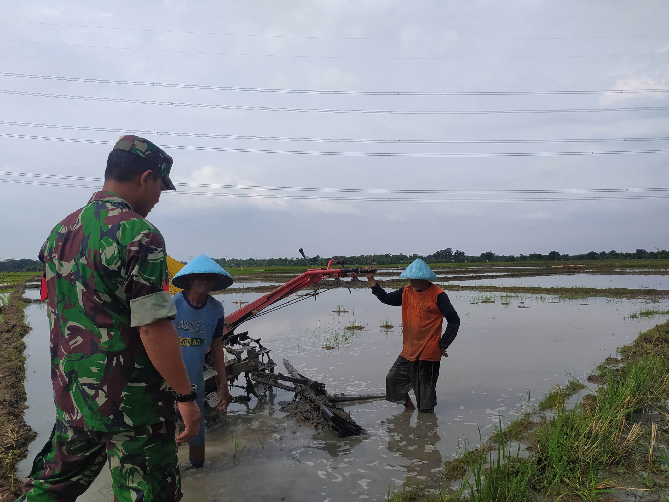 IMG 20240418 WA0197 scaled