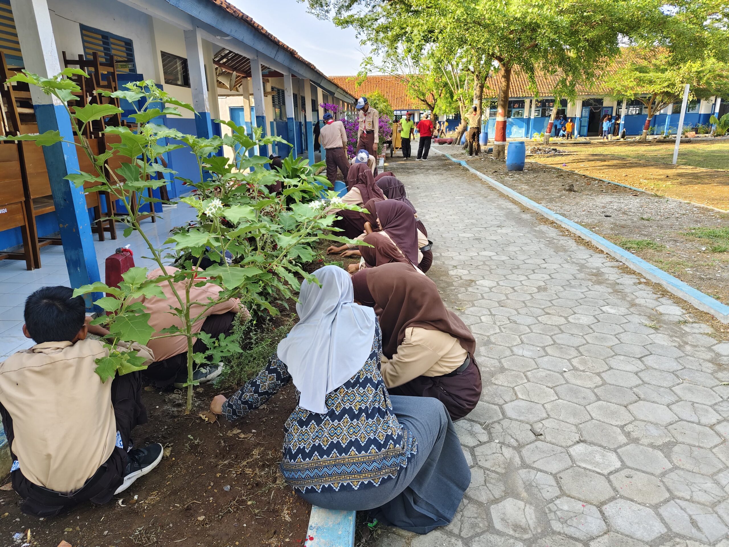 IMG 20240913 WA0016 scaled