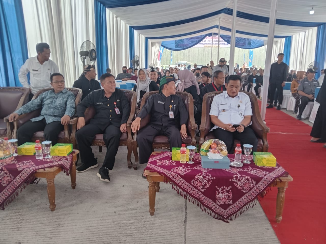 IMG 20240924 WA00382