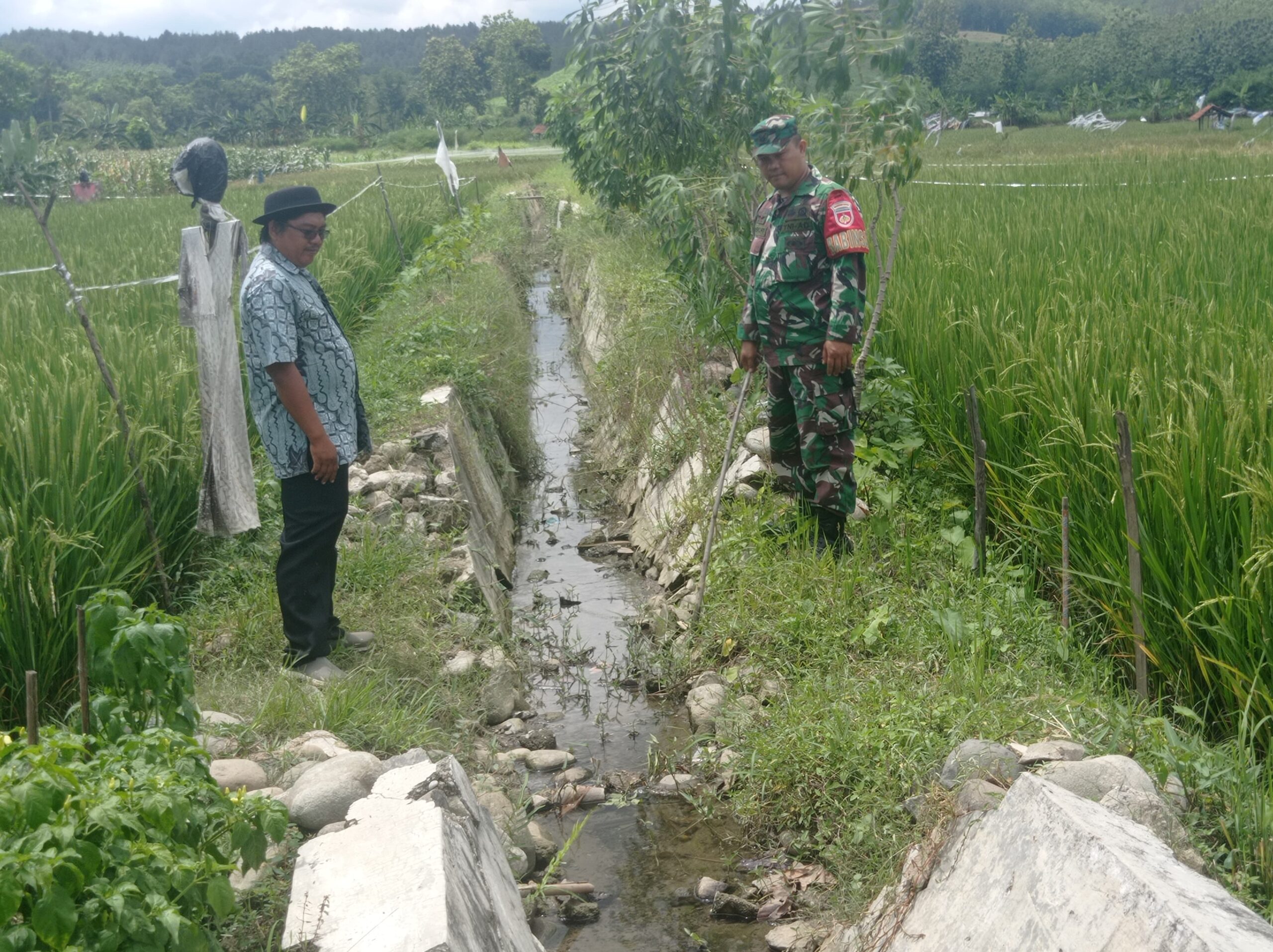 IMG 20241212 WA0019 scaled