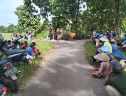 Meningkatkan Ketahanan Pangan melalui Penyerapan Gabah