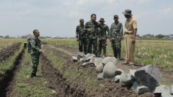 Dandim Pemalang Pantau Langsung Pembangunan Irigasi Tersier 7 IMG 20250930 WA0006