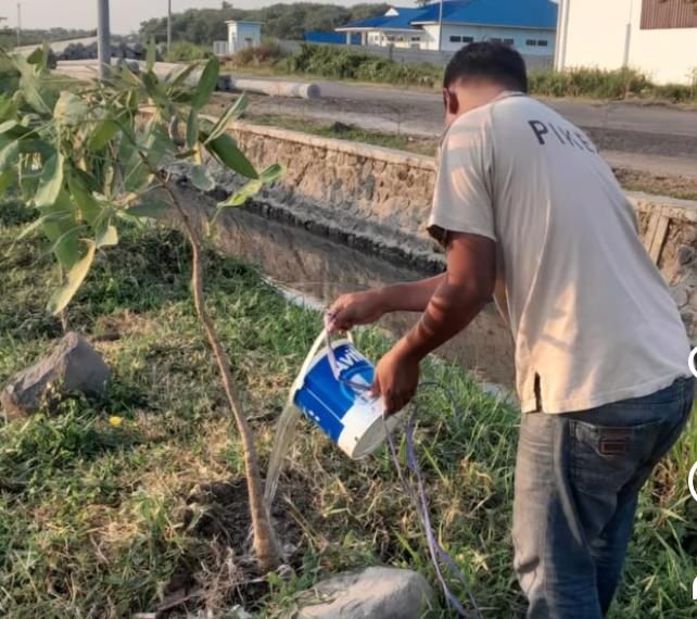 Wujudkan Ruang Publik BerAKHLAK, Camat Comal Monitor Langsung Pemeliharaan Pohon di Kawasan Stadion Jatidiri* 1 IMG 20260609 WA0058