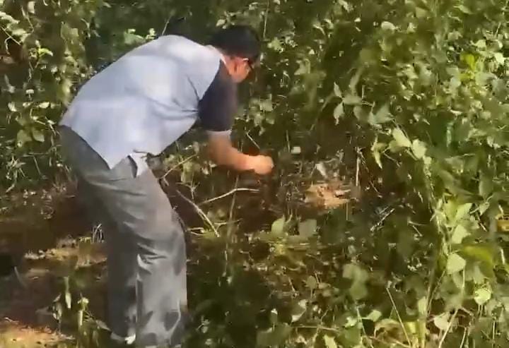 Cegah Semak Belukar dan Sampah Penyakit, DPUPR Pemalang Bersihkan Area Hijau