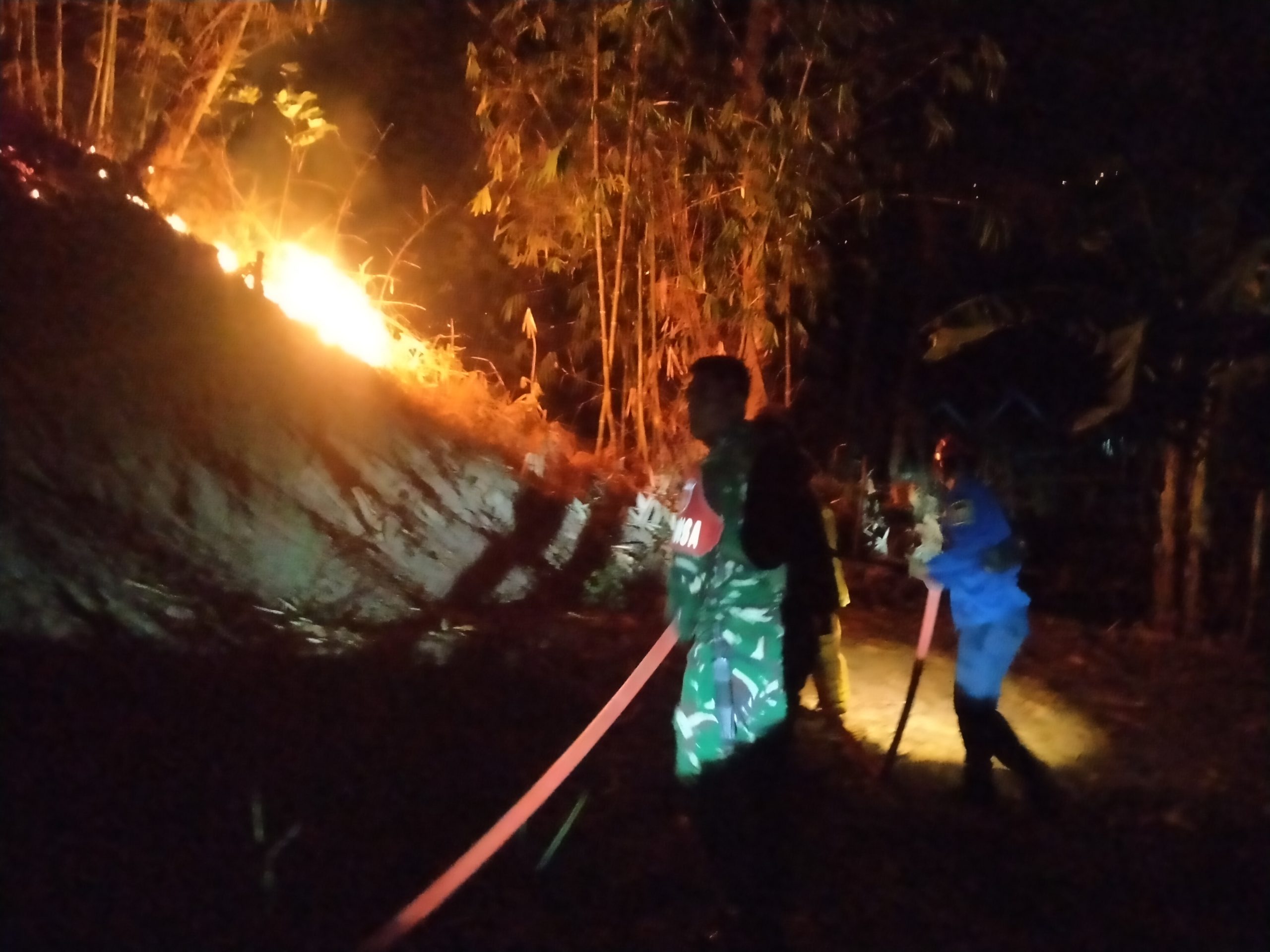 Babinsa Koramil Bantarbolang Sigap Tangani Kebakaran Hutan di Desa Pedagung, Api Berhasil Dipadamkan 1 IMG 20260916 WA0025 scaled