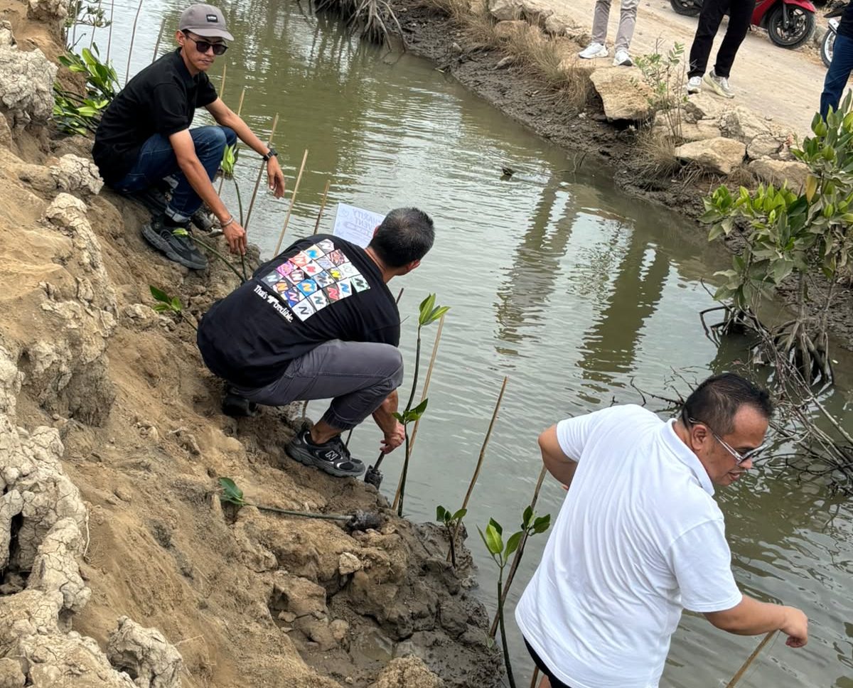 Sentuh Zona Abrasi Parah, PT Longwell Internasional Gulirkan CSR Mangrove di Pemalang