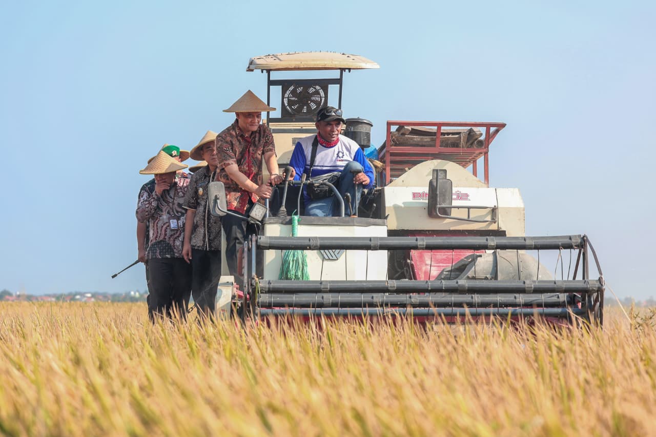 Gunakan Alat Modern, Petani di Pemalang Hemat Biaya Operasional dan Mempercepat Panen